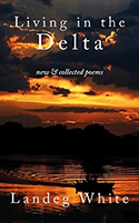 living_in_delta